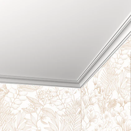 Corniche plafond - Luxe